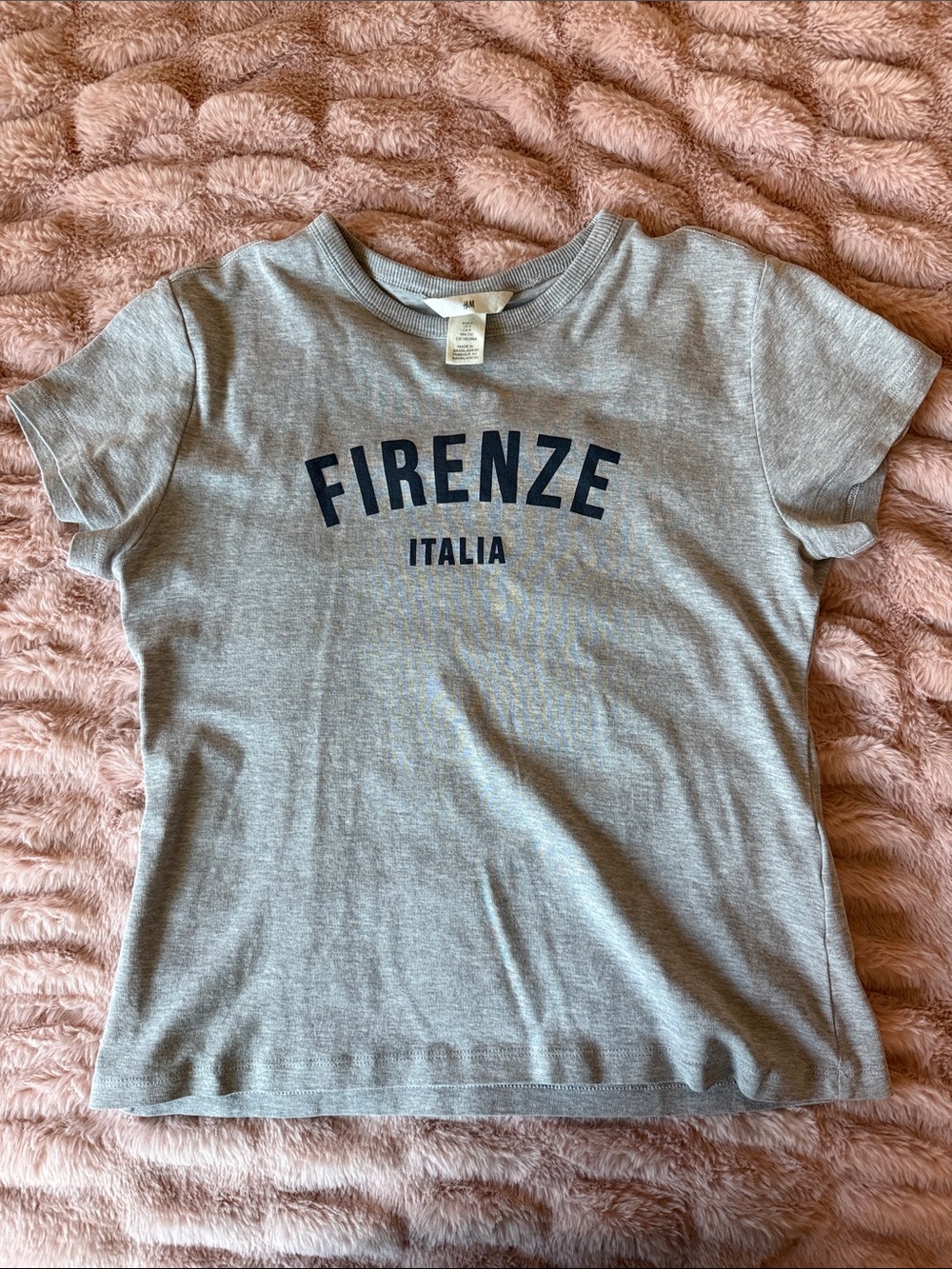 H&M Gray Short Sleeve Tee with Navy 'FIRENZE ITALIA' Print